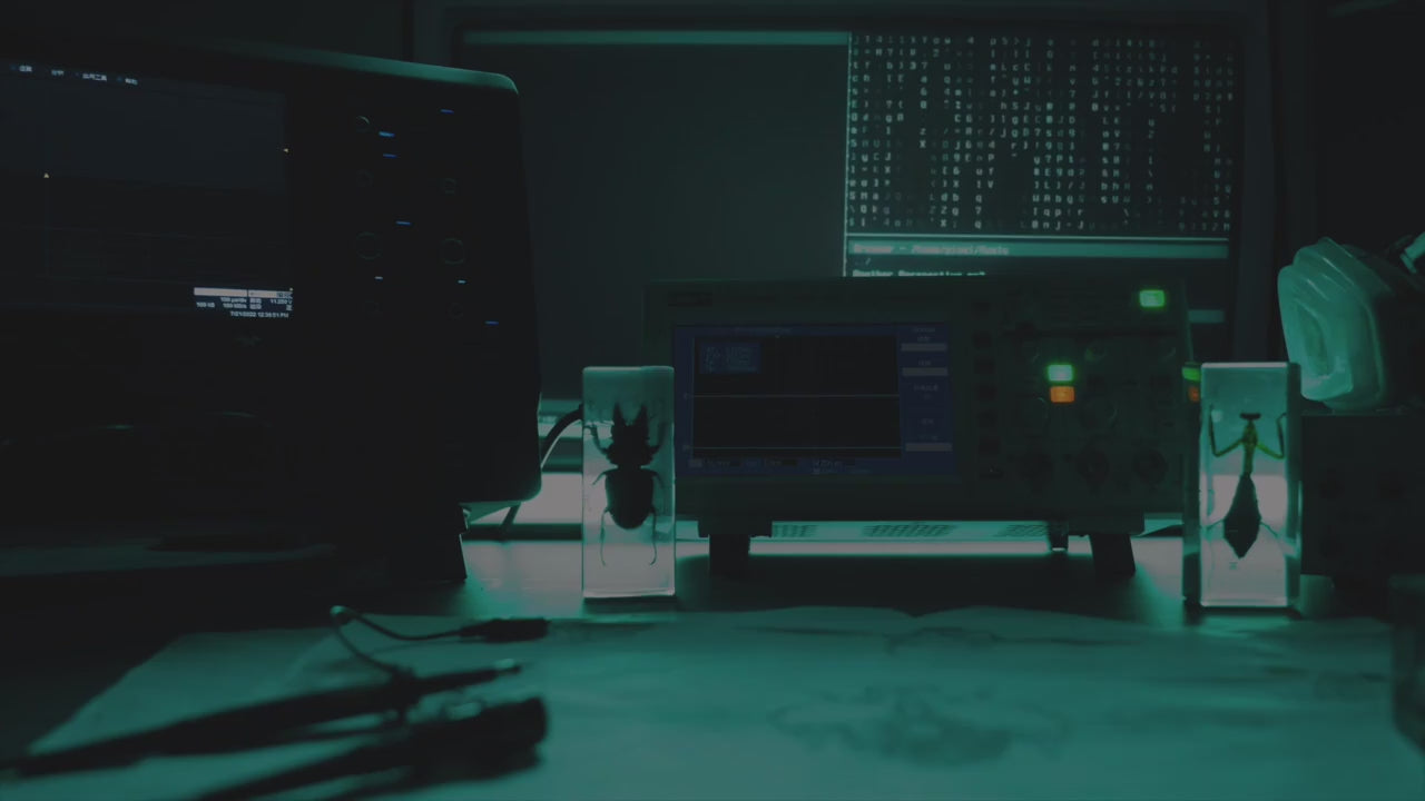 Charger la vidéo: Puzzle 3D Scarabée éclaireur